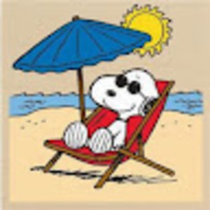 Meet your Posher, Rhodel